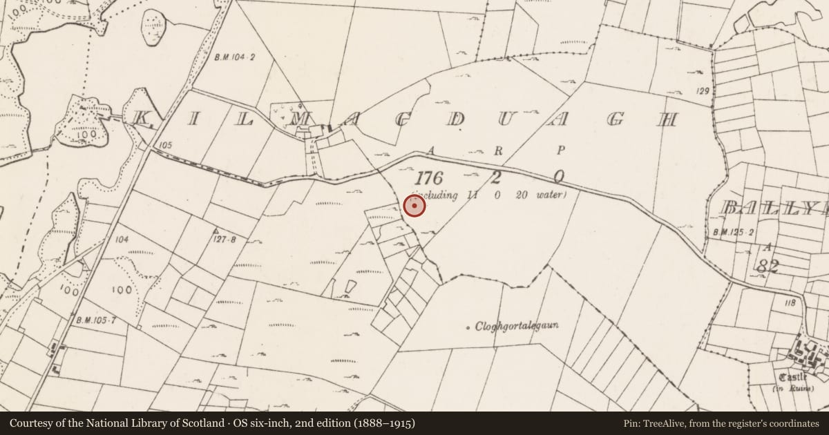Ordnance Survey six-inch map, 2nd edition (1888–1915) covering the location of Enclosure, Kilmacduagh, County Mayo, with a pin at the register's coordinates