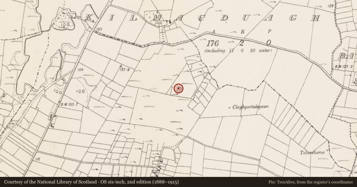 Ordnance Survey six-inch map, 2nd edition (1888–1915) covering the location of Enclosure, Mocorha, County Mayo, with a pin at the register's coordinates