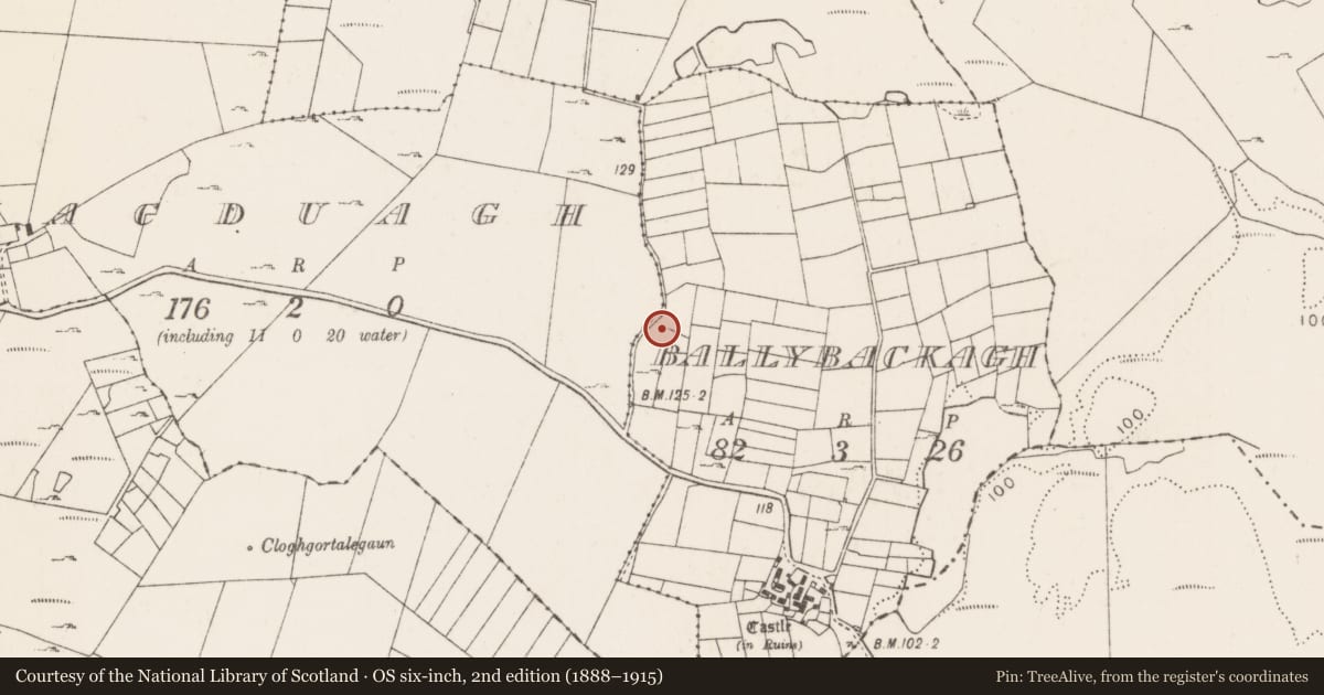 Ordnance Survey six-inch map, 2nd edition (1888–1915) covering the location of Hut site, Ballybackagh, County Mayo, with a pin at the register's coordinates