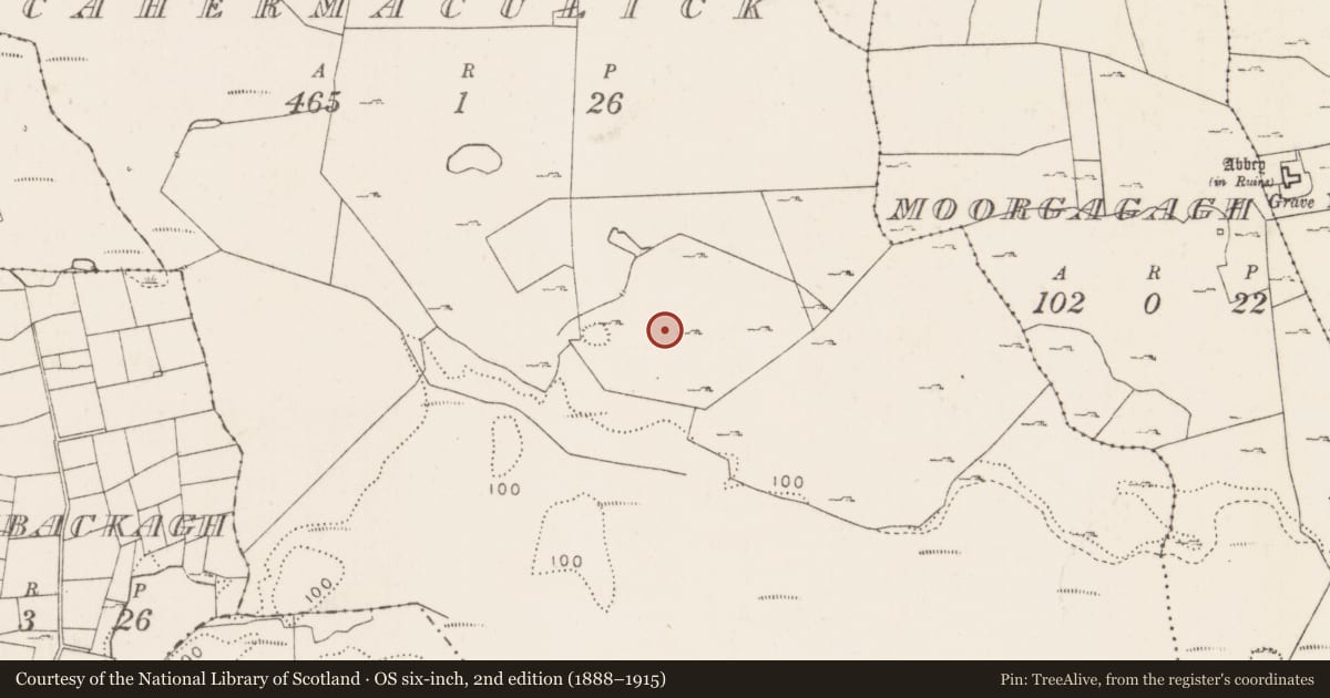 Ordnance Survey six-inch map, 2nd edition (1888–1915) covering the location of House - indeterminate date, Cahermaculick, County Mayo, with a pin at the register's coordinates
