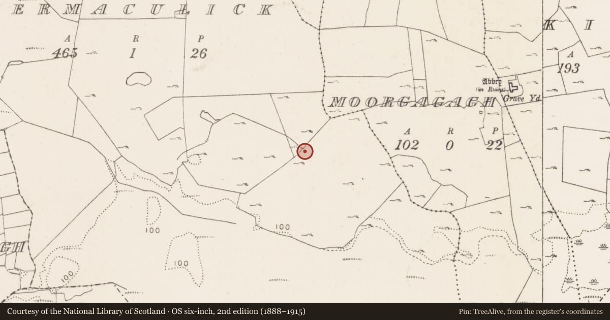 Ordnance Survey six-inch map, 2nd edition (1888–1915) covering the location of Field system, Cahermaculick, County Mayo, with a pin at the register's coordinates