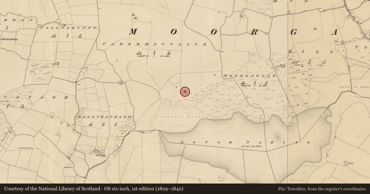 Ordnance Survey six-inch map, 1st edition (1829–1842) covering the location of House - indeterminate date, Cahermaculick, County Mayo, with a pin at the register's coordinates