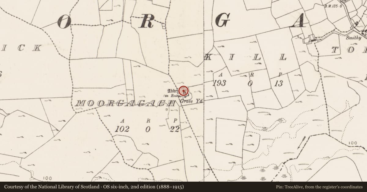 Ordnance Survey six-inch map, 2nd edition (1888–1915) covering the location of Graveyard, Kill, County Mayo, with a pin at the register's coordinates