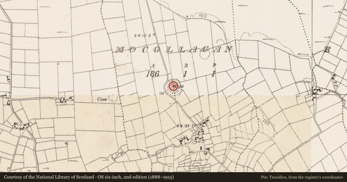Ordnance Survey six-inch map, 2nd edition (1888–1915) covering the location of Ringfort - rath, Mocollagan, County Mayo, with a pin at the register's coordinates
