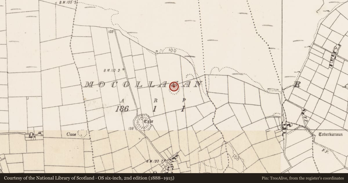 Ordnance Survey six-inch map, 2nd edition (1888–1915) covering the location of Ringfort - rath, Mocollagan, County Mayo, with a pin at the register's coordinates