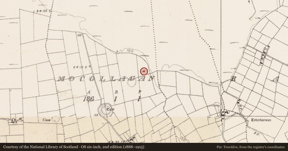 Ordnance Survey six-inch map, 2nd edition (1888–1915) covering the location of Ringfort - rath, Mocollagan, County Mayo, with a pin at the register's coordinates