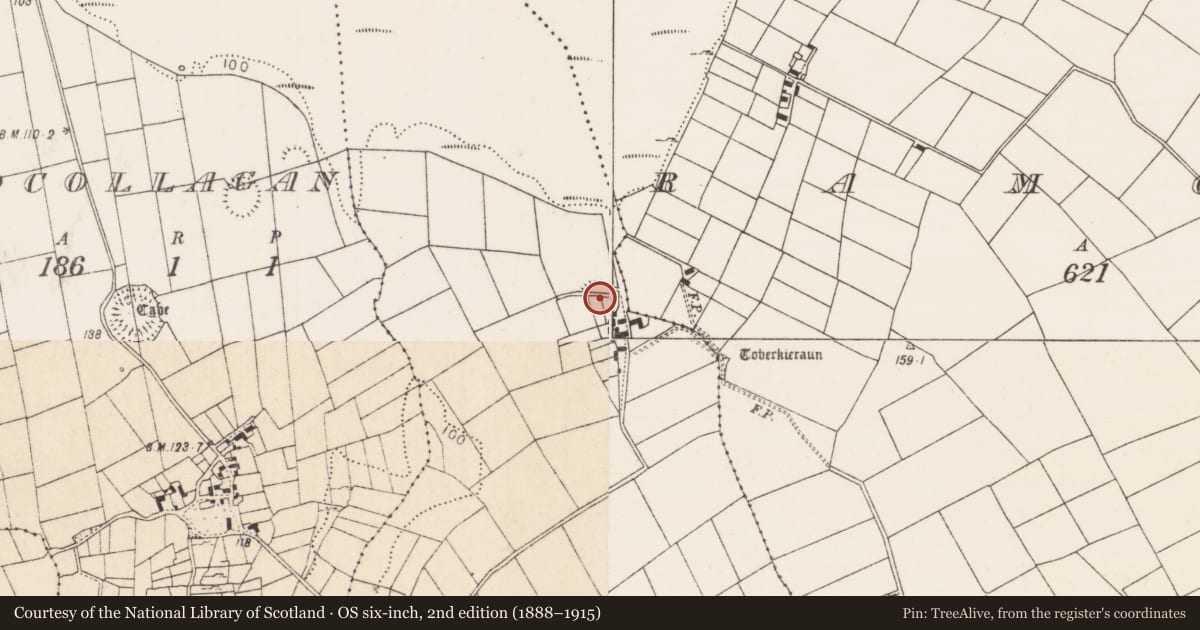 Ordnance Survey six-inch map, 2nd edition (1888–1915) covering the location of Enclosure, Brodullagh North, County Mayo, with a pin at the register's coordinates