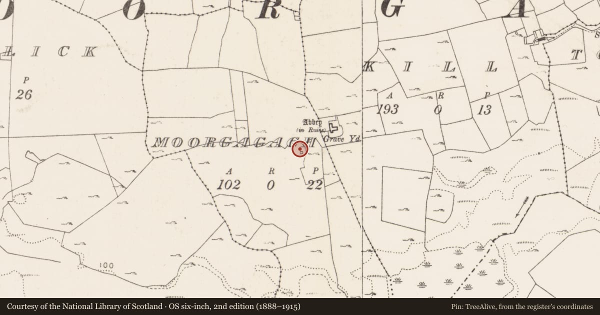 Ordnance Survey six-inch map, 2nd edition (1888–1915) covering the location of Church, Moorgagagh, County Mayo, with a pin at the register's coordinates