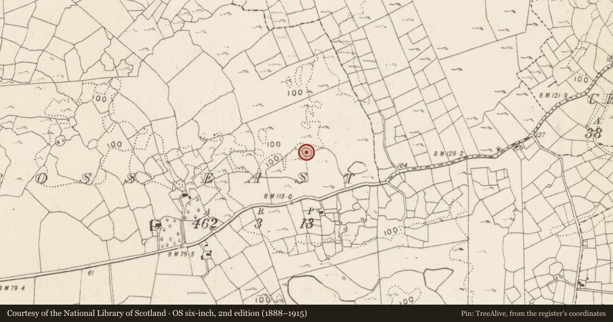 Ordnance Survey six-inch map, 2nd edition (1888–1915) covering the location of Enclosure, Cross East, County Mayo, with a pin at the register's coordinates