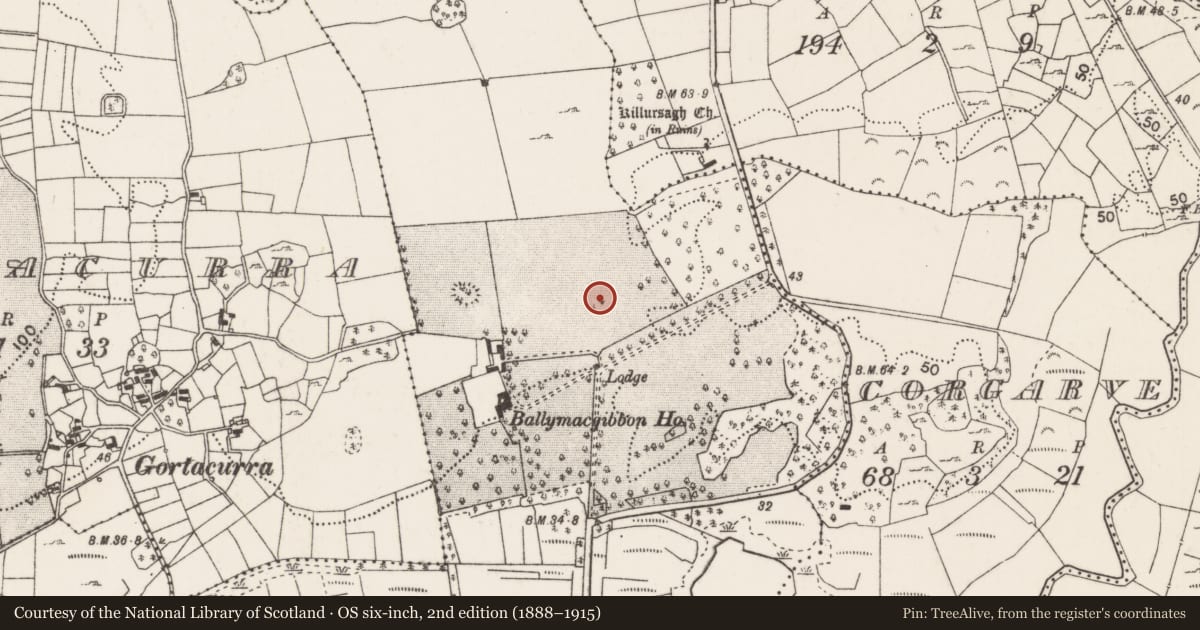 Ordnance Survey six-inch map, 2nd edition (1888–1915) covering the location of Enclosure, Ballymacgibbon South, County Mayo, with a pin at the register's coordinates