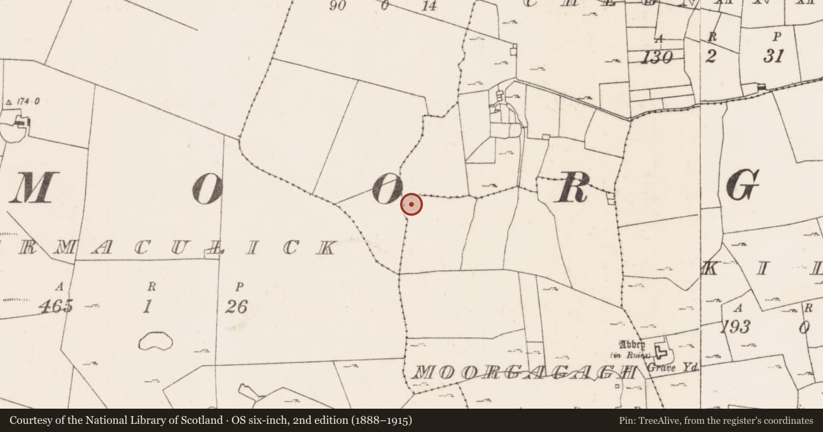 Ordnance Survey six-inch map, 2nd edition (1888–1915) covering the location of Enclosure, Moorgagagh, County Mayo, with a pin at the register's coordinates