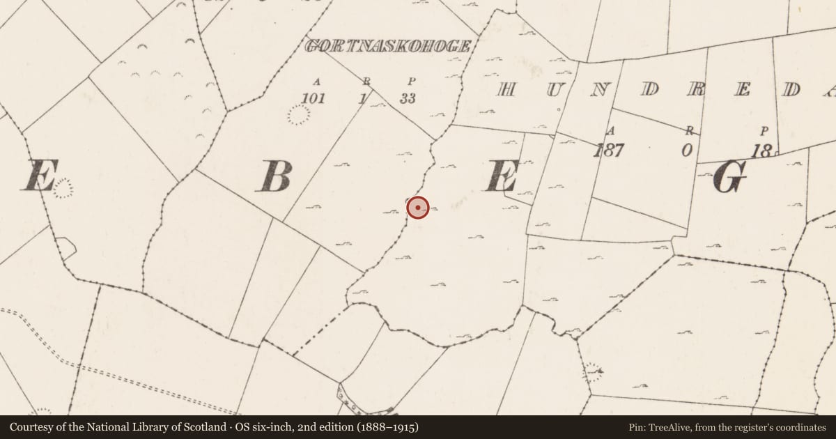 Ordnance Survey six-inch map, 2nd edition (1888–1915) covering the location of Enclosure, Hundred Acres, County Mayo, with a pin at the register's coordinates