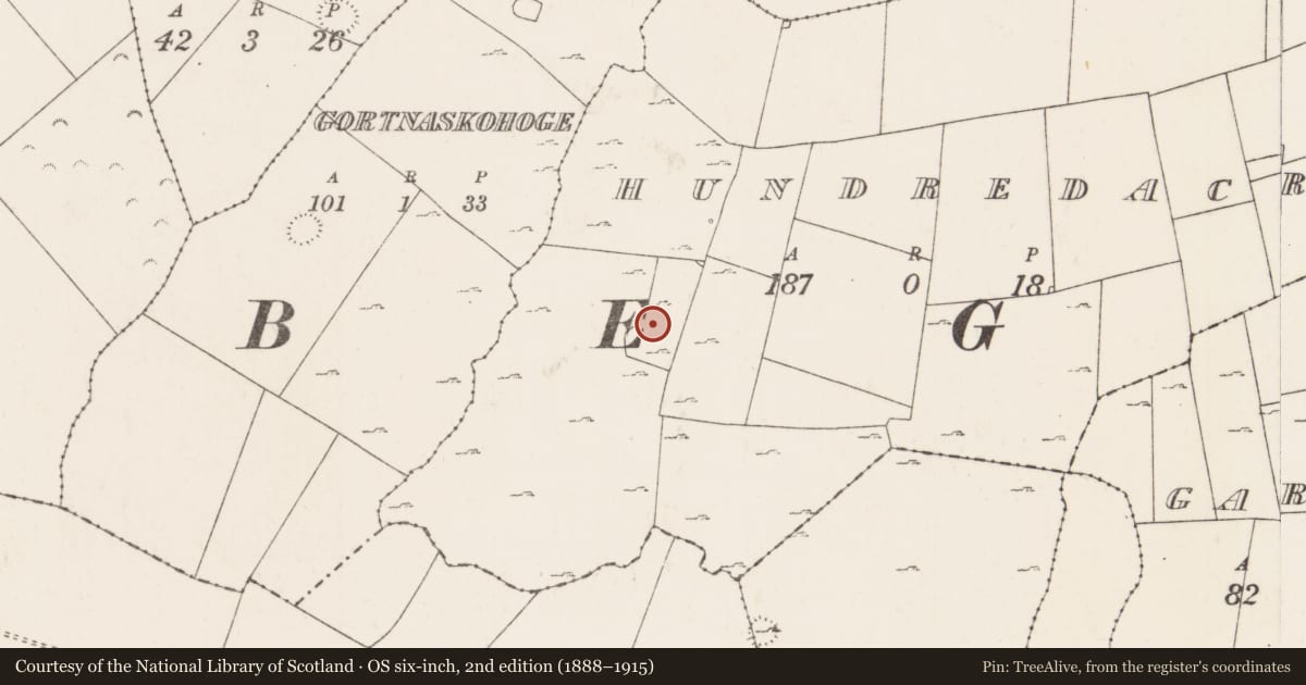 Ordnance Survey six-inch map, 2nd edition (1888–1915) covering the location of Enclosure, Hundred Acres, County Mayo, with a pin at the register's coordinates