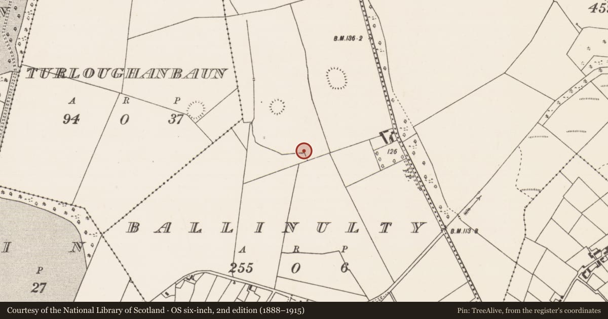 Ordnance Survey six-inch map, 2nd edition (1888–1915) covering the location of Megalithic tomb - unclassified, Ballinulty, County Mayo, with a pin at the register's coordinates