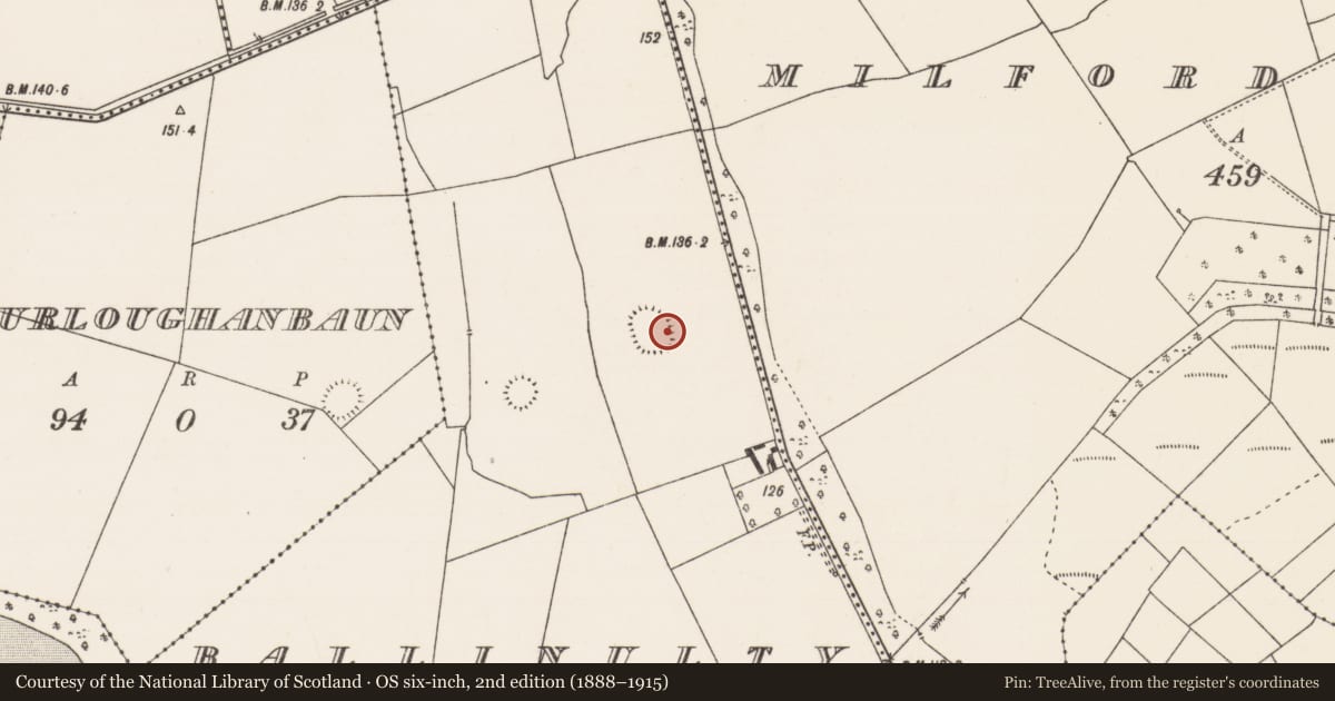 Ordnance Survey six-inch map, 2nd edition (1888–1915) covering the location of Ringfort - unclassified, Ballinulty, County Mayo, with a pin at the register's coordinates
