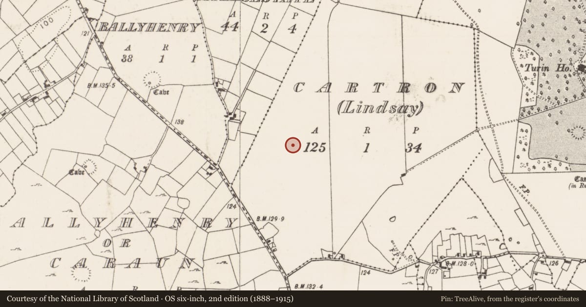 Ordnance Survey six-inch map, 2nd edition (1888–1915) covering the location of Enclosure, Cartron (Lindsay), County Mayo, with a pin at the register's coordinates