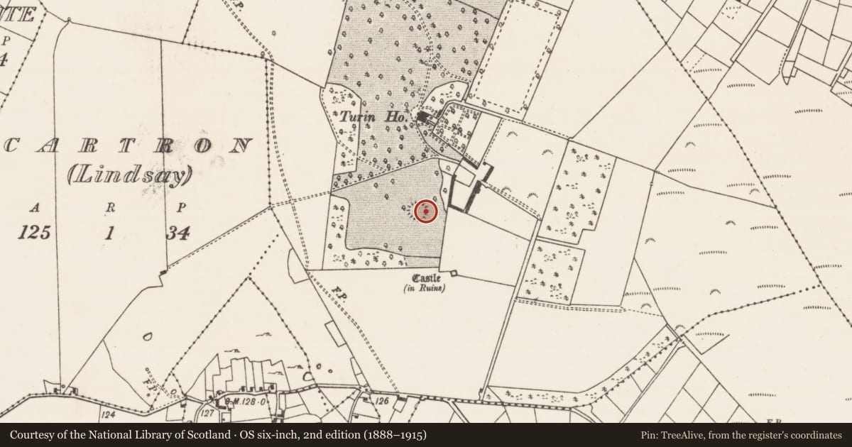 Ordnance Survey six-inch map, 2nd edition (1888–1915) covering the location of Ringfort - rath, Turin, County Mayo, with a pin at the register's coordinates