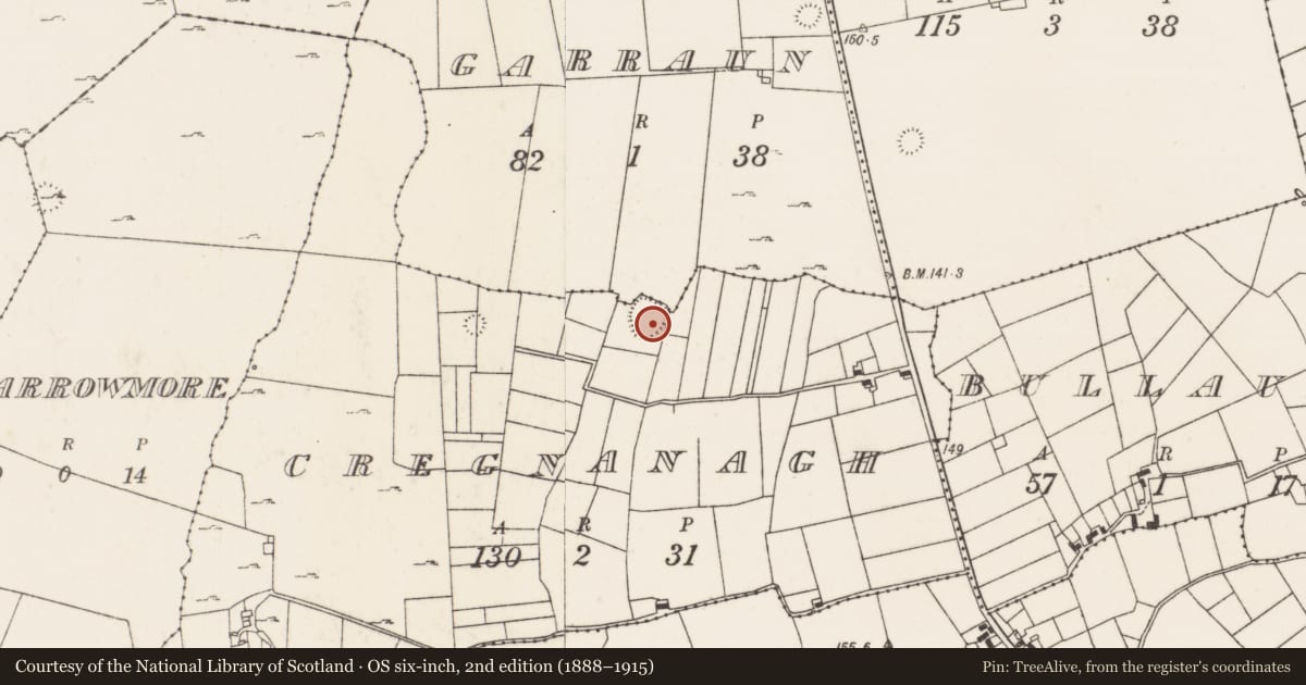 Ordnance Survey six-inch map, 2nd edition (1888–1915) covering the location of Souterrain, Cregnanagh (Kilmaine By., Kilmainebeg Par.), County Mayo, with a pin at the register's coordinates