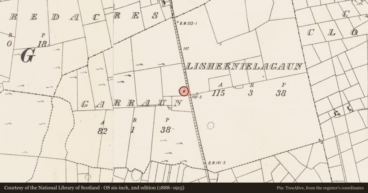 Ordnance Survey six-inch map, 2nd edition (1888–1915) covering the location of Ringfort - rath, Garraun, County Mayo, with a pin at the register's coordinates