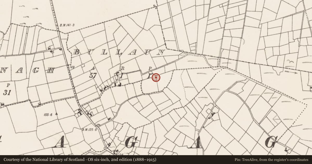 Ordnance Survey six-inch map, 2nd edition (1888–1915) covering the location of Ringfort - rath, Bullaun, County Mayo, with a pin at the register's coordinates