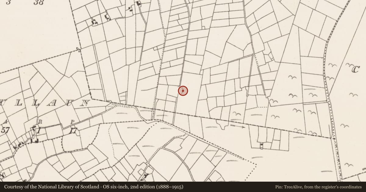 Ordnance Survey six-inch map, 2nd edition (1888–1915) covering the location of Ringfort - rath, Caherrevagh And Cloonnameeltoge, County Mayo, with a pin at the register's coordinates