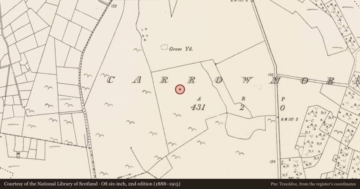 Ordnance Survey six-inch map, 2nd edition (1888–1915) covering the location of Road - road/trackway, Carrowmore, County Mayo, with a pin at the register's coordinates