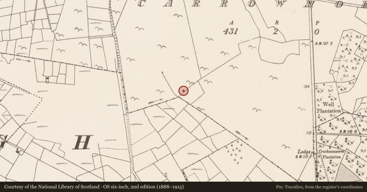 Ordnance Survey six-inch map, 2nd edition (1888–1915) covering the location of Enclosure, Carrowmore, County Mayo, with a pin at the register's coordinates