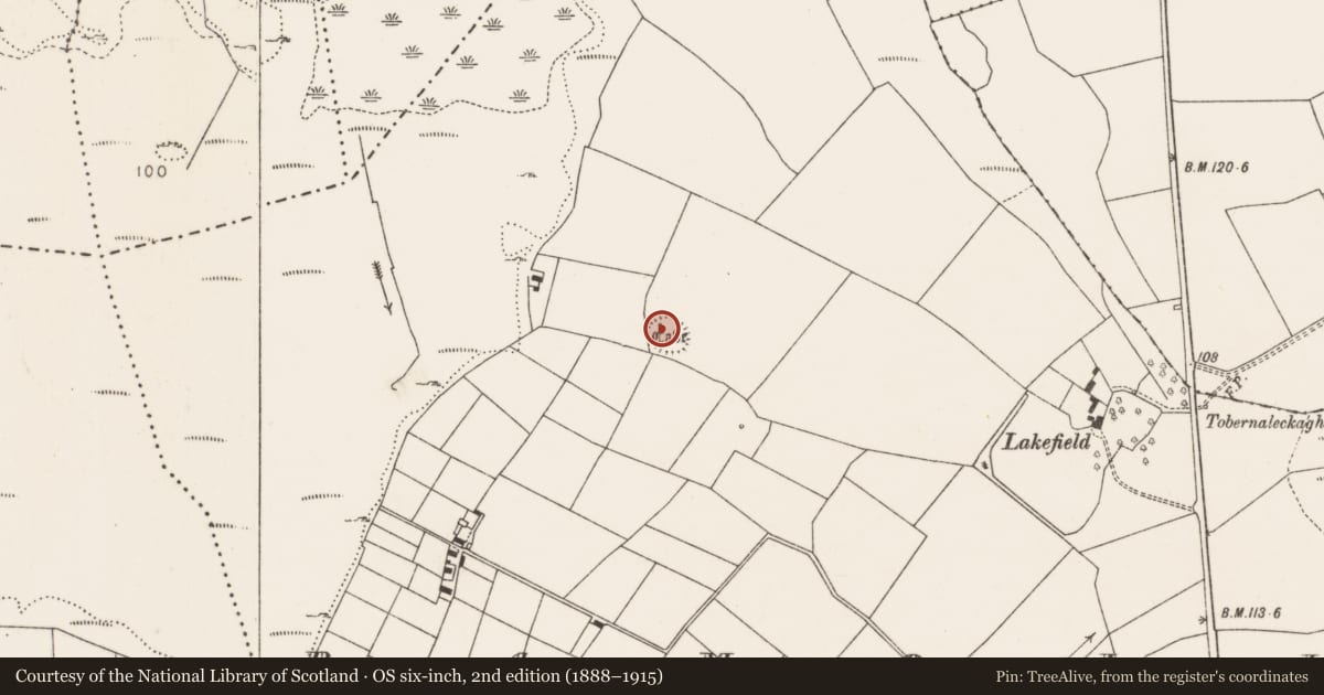 Ordnance Survey six-inch map, 2nd edition (1888–1915) covering the location of Souterrain, Ramolin, County Mayo, with a pin at the register's coordinates