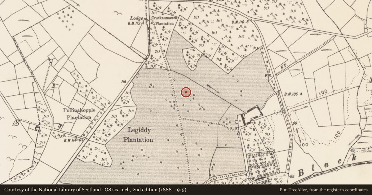 Ordnance Survey six-inch map, 2nd edition (1888–1915) covering the location of Enclosure, Dalgan Demesne, County Mayo, with a pin at the register's coordinates