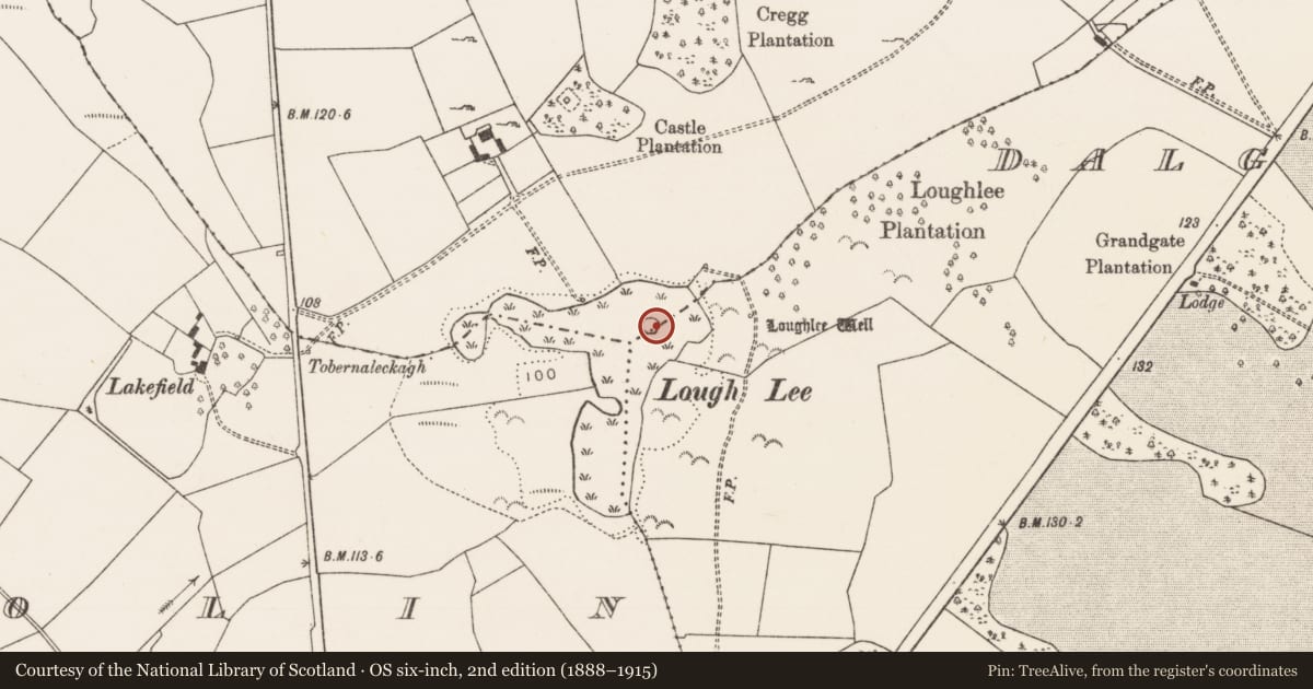 Ordnance Survey six-inch map, 2nd edition (1888–1915) covering the location of Crannog, Dalgan Demesne, Gorteens, County Mayo, with a pin at the register's coordinates