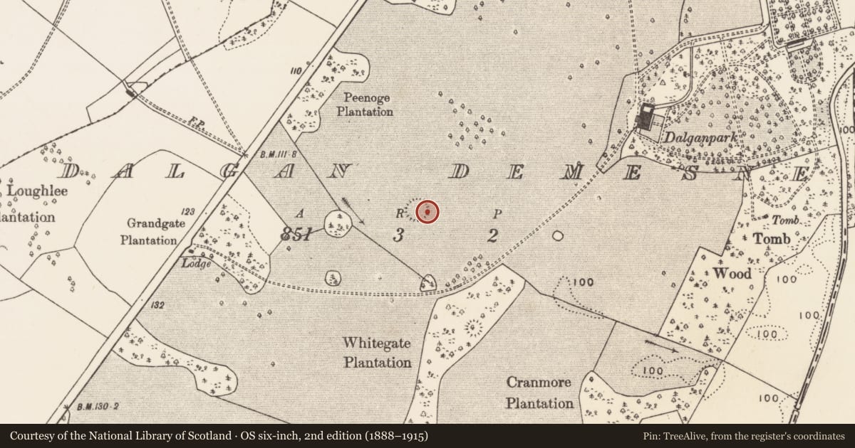 Ordnance Survey six-inch map, 2nd edition (1888–1915) covering the location of Ringfort - rath, Dalgan Demesne, County Mayo, with a pin at the register's coordinates