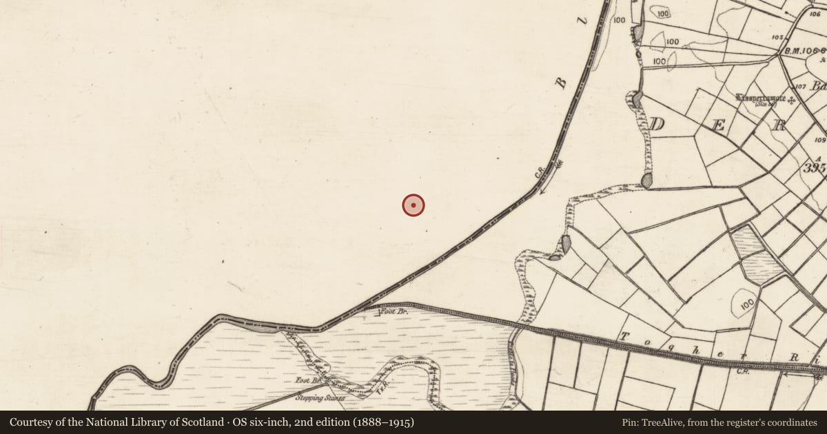 Ordnance Survey six-inch map, 2nd edition (1888–1915) covering the location of Earthwork, Dalgan Demesne, County Mayo, with a pin at the register's coordinates