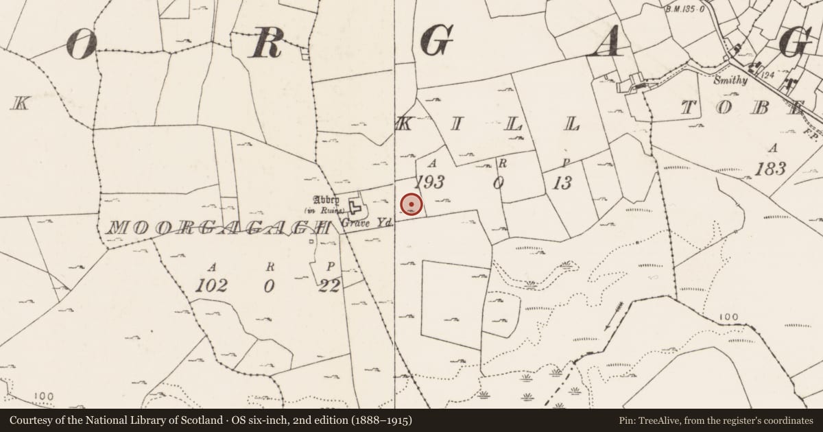 Ordnance Survey six-inch map, 2nd edition (1888–1915) covering the location of Field system, Kill, County Mayo, with a pin at the register's coordinates