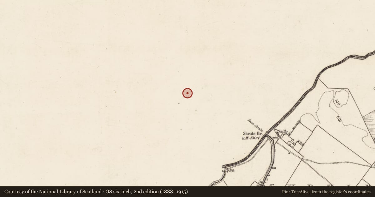 Ordnance Survey six-inch map, 2nd edition (1888–1915) covering the location of Graveyard, Shrule, County Mayo, with a pin at the register's coordinates