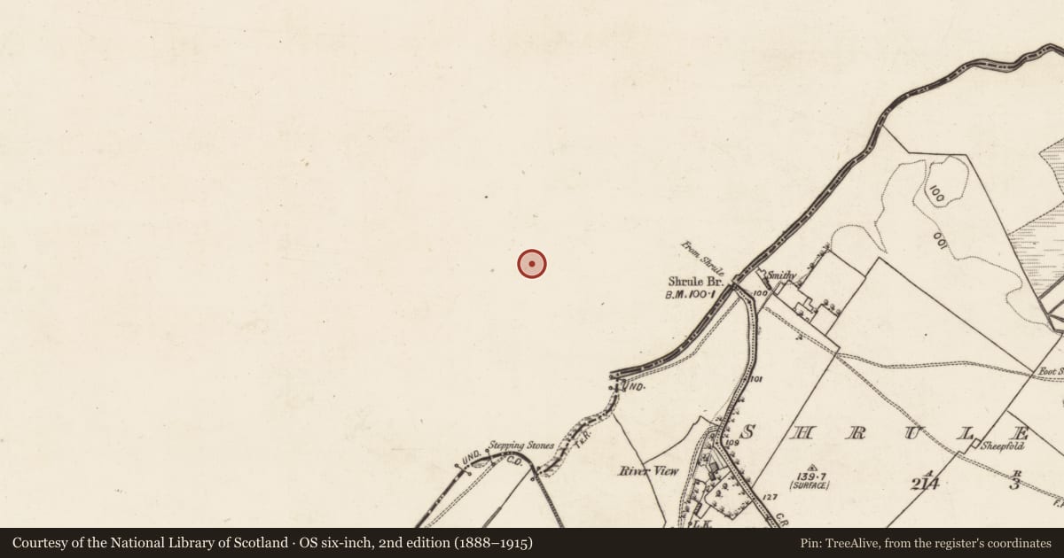 Ordnance Survey six-inch map, 2nd edition (1888–1915) covering the location of Religious house - unclassified, Shrule, County Mayo, with a pin at the register's coordinates
