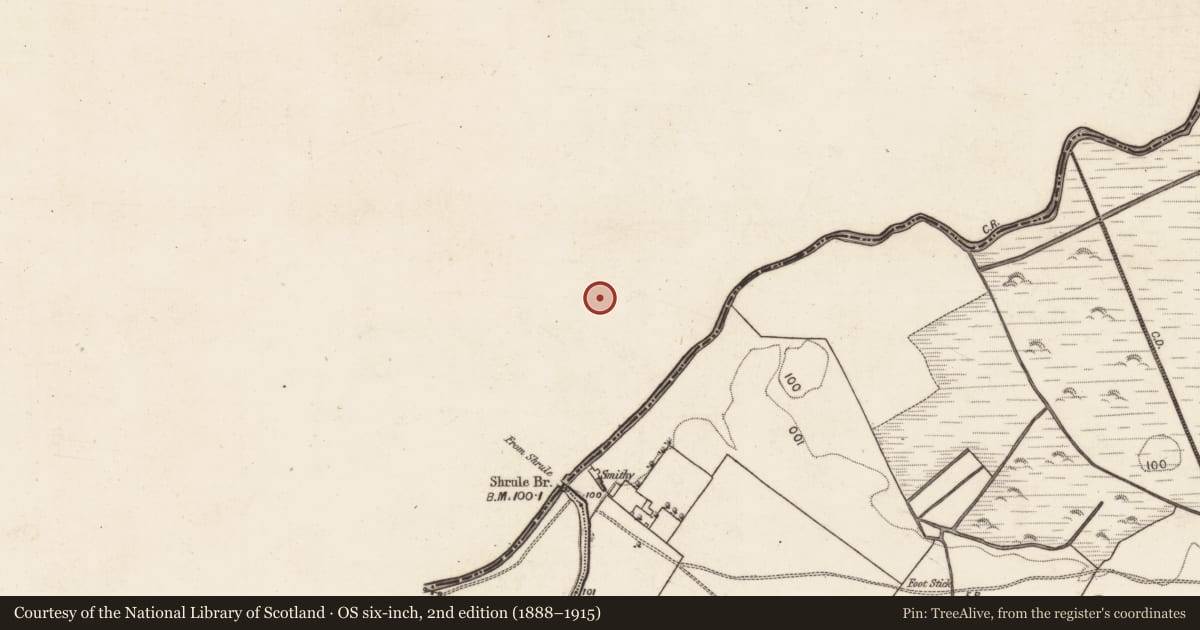 Ordnance Survey six-inch map, 2nd edition (1888–1915) covering the location of Mound, Shrule, County Mayo, with a pin at the register's coordinates