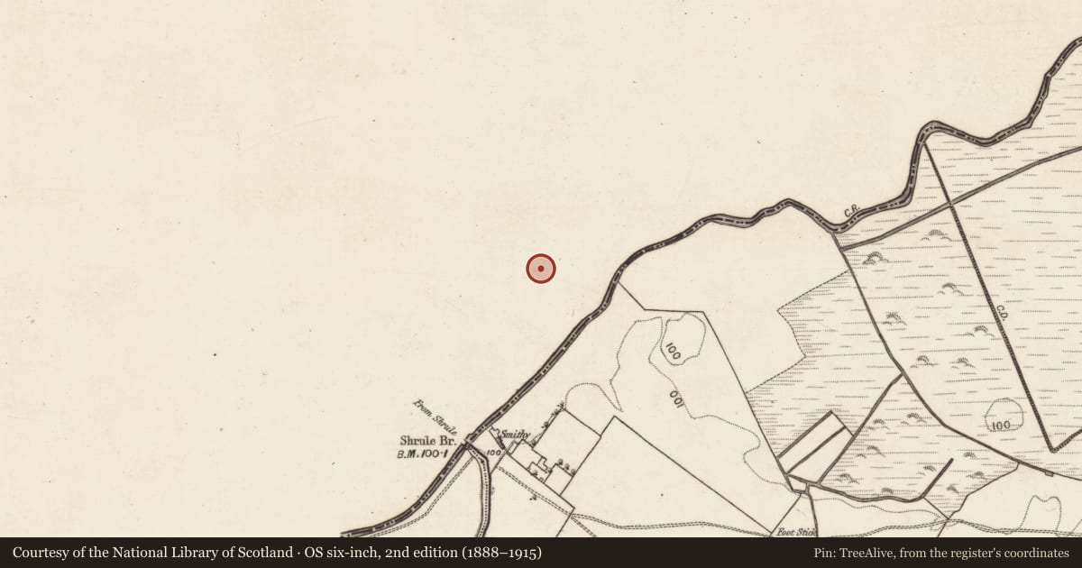Ordnance Survey six-inch map, 2nd edition (1888–1915) covering the location of Earthwork, Shrule, County Mayo, with a pin at the register's coordinates