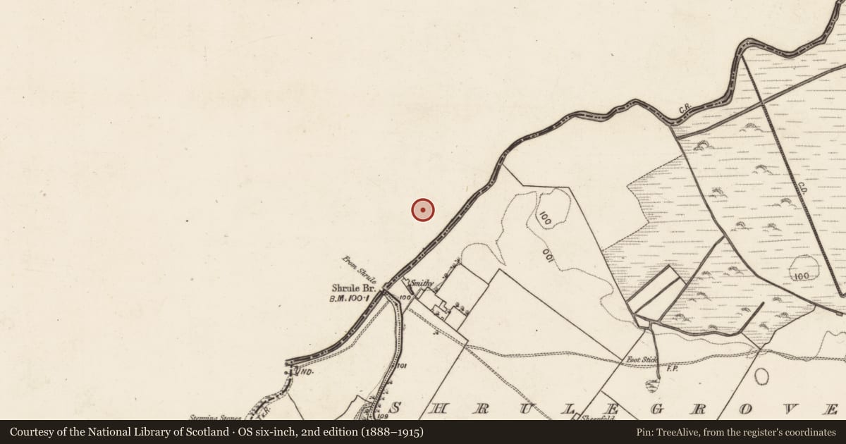 Ordnance Survey six-inch map, 2nd edition (1888–1915) covering the location of Earthwork, Shrule, County Mayo, with a pin at the register's coordinates