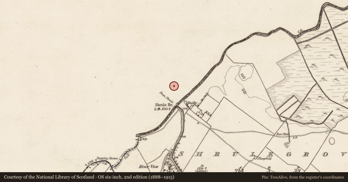 Ordnance Survey six-inch map, 2nd edition (1888–1915) covering the location of Castle - hall-house, Shrule, County Mayo, with a pin at the register's coordinates