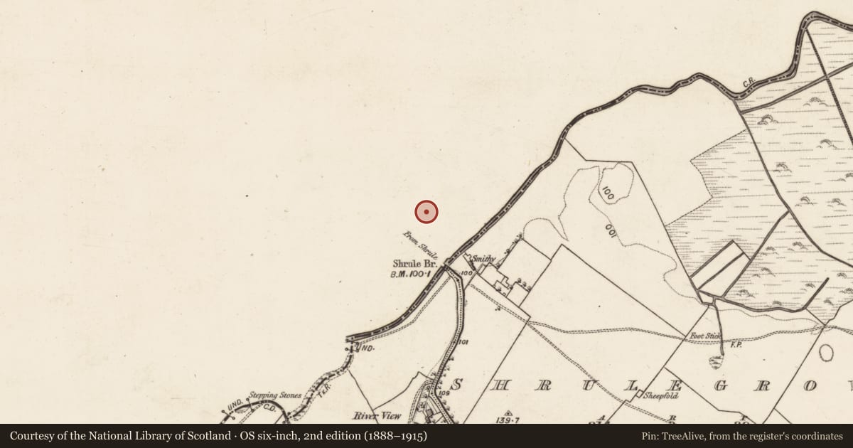 Ordnance Survey six-inch map, 2nd edition (1888–1915) covering the location of House - 16th/17th century, Shrule, County Mayo, with a pin at the register's coordinates