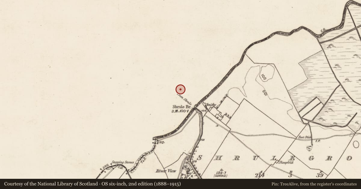 Ordnance Survey six-inch map, 2nd edition (1888–1915) covering the location of Settlement deserted - medieval, Shrule, County Mayo, with a pin at the register's coordinates
