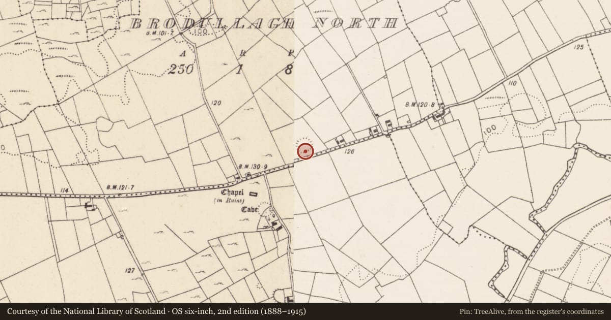 Ordnance Survey six-inch map, 2nd edition (1888–1915) covering the location of Souterrain, Brodullagh North, County Mayo, with a pin at the register's coordinates