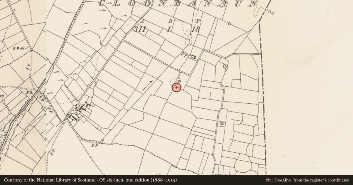 Ordnance Survey six-inch map, 2nd edition (1888–1915) covering the location of Ringfort - rath, Cloonbanaun, County Mayo, with a pin at the register's coordinates