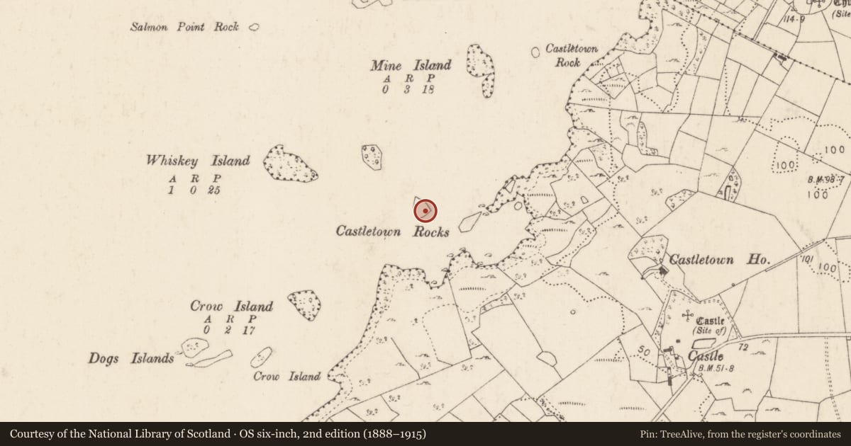 Ordnance Survey six-inch map, 2nd edition (1888–1915) covering the location of Crannog, Lough Corrib, County Mayo, with a pin at the register's coordinates