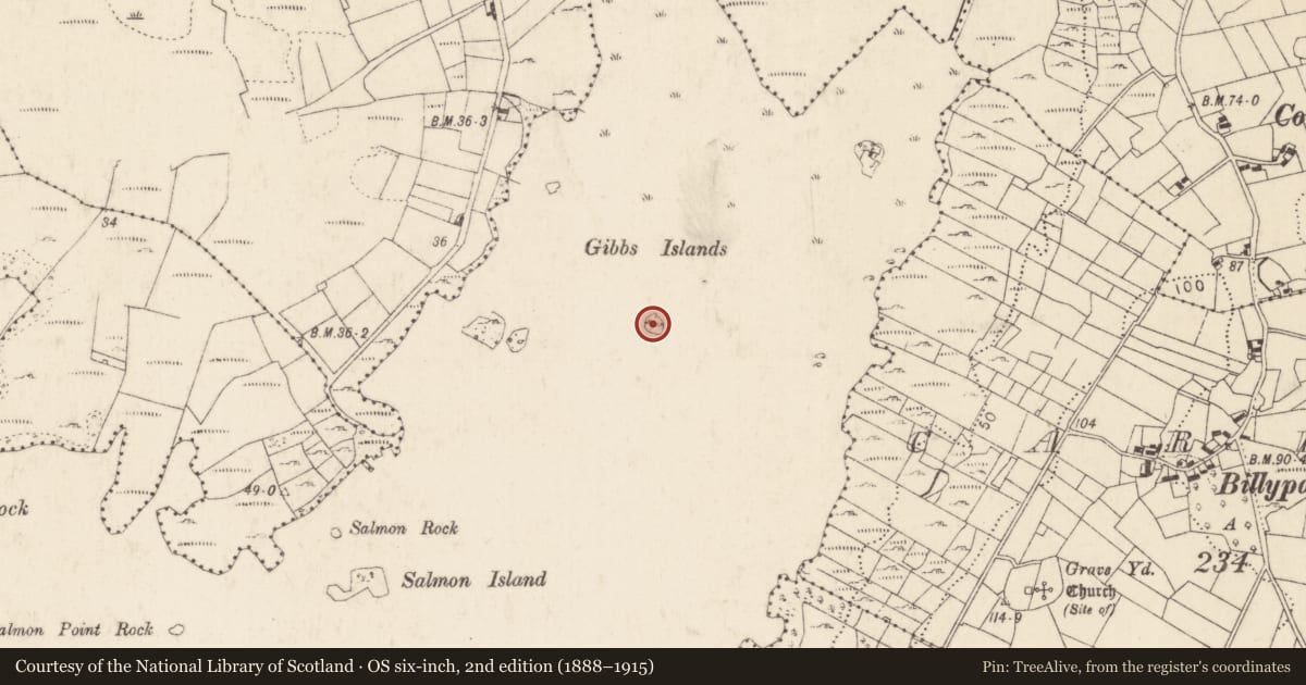 Ordnance Survey six-inch map, 2nd edition (1888–1915) covering the location of Crannog, Lough Corrib, County Mayo, with a pin at the register's coordinates