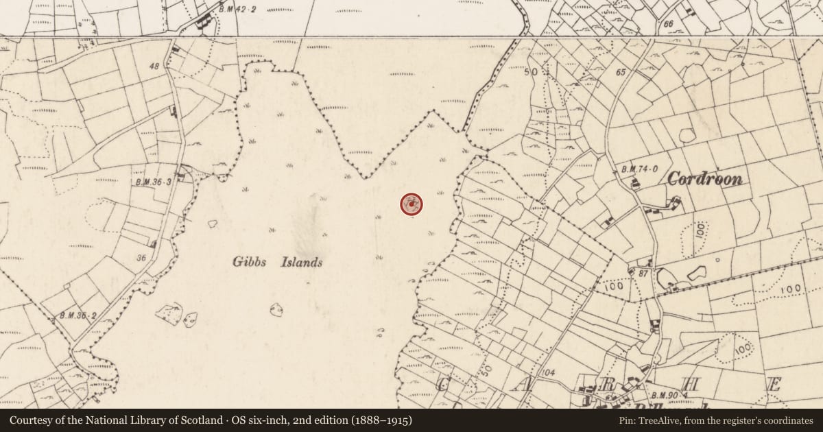 Ordnance Survey six-inch map, 2nd edition (1888–1915) covering the location of Crannog, Lough Corrib, County Mayo, with a pin at the register's coordinates