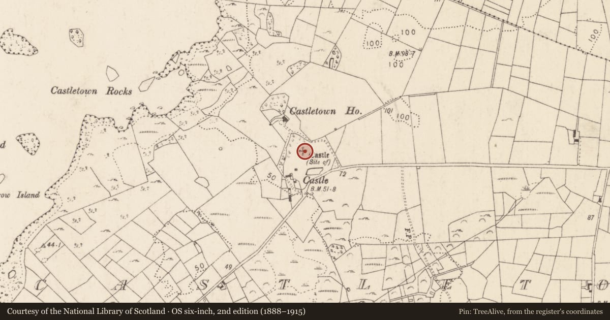 Ordnance Survey six-inch map, 2nd edition (1888–1915) covering the location of Castle - unclassified, Castletown (Kilmaine By., Cong Par.), County Mayo, with a pin at the register's coordinates