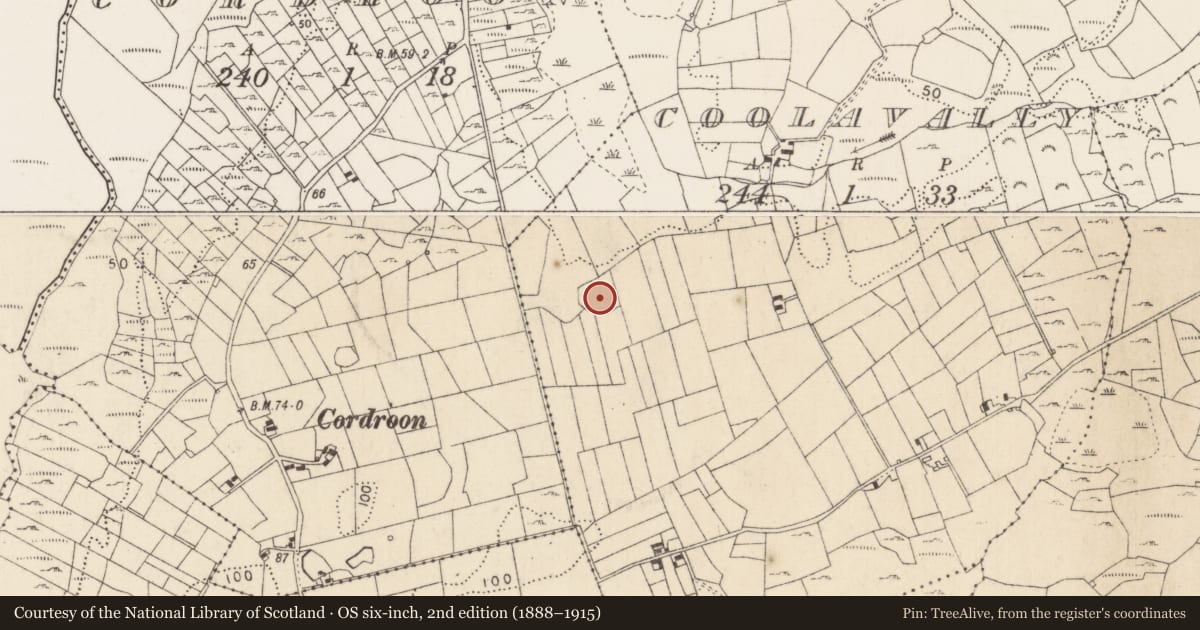 Ordnance Survey six-inch map, 2nd edition (1888–1915) covering the location of Ringfort - cashel, Coolavally, County Mayo, with a pin at the register's coordinates