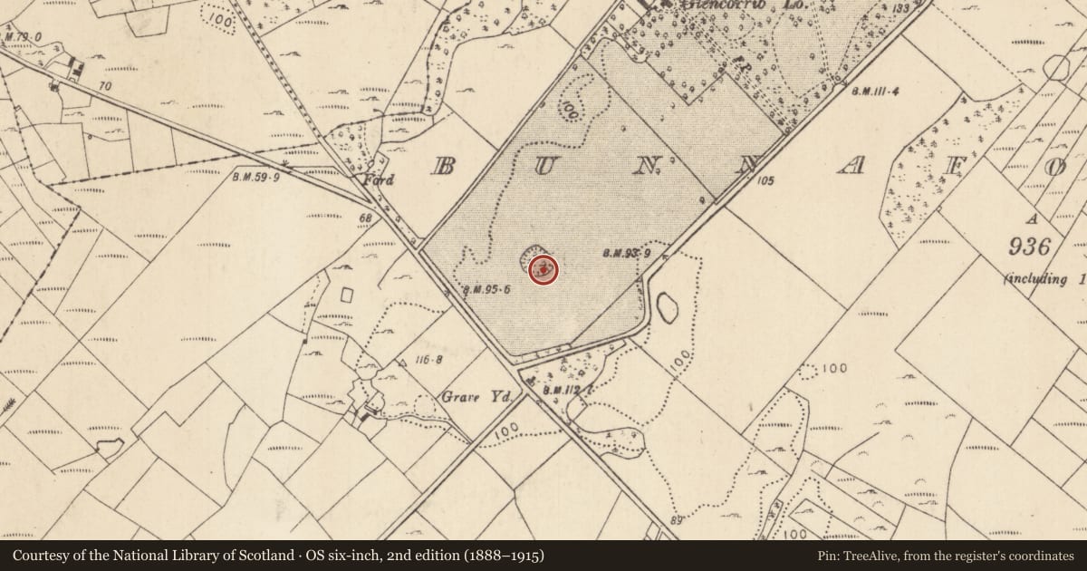 Ordnance Survey six-inch map, 2nd edition (1888–1915) covering the location of Ringfort - rath, Bunnafollistran, County Mayo, with a pin at the register's coordinates