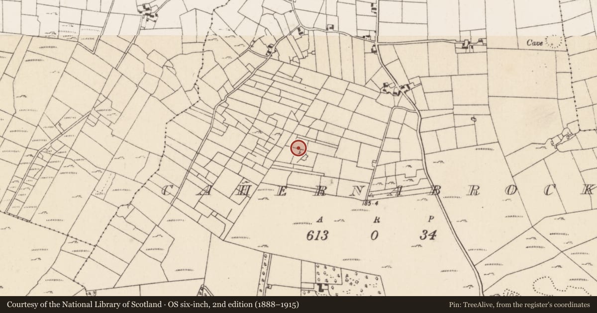 Ordnance Survey six-inch map, 2nd edition (1888–1915) covering the location of Ringfort - cashel, Cahernabrock, County Mayo, with a pin at the register's coordinates